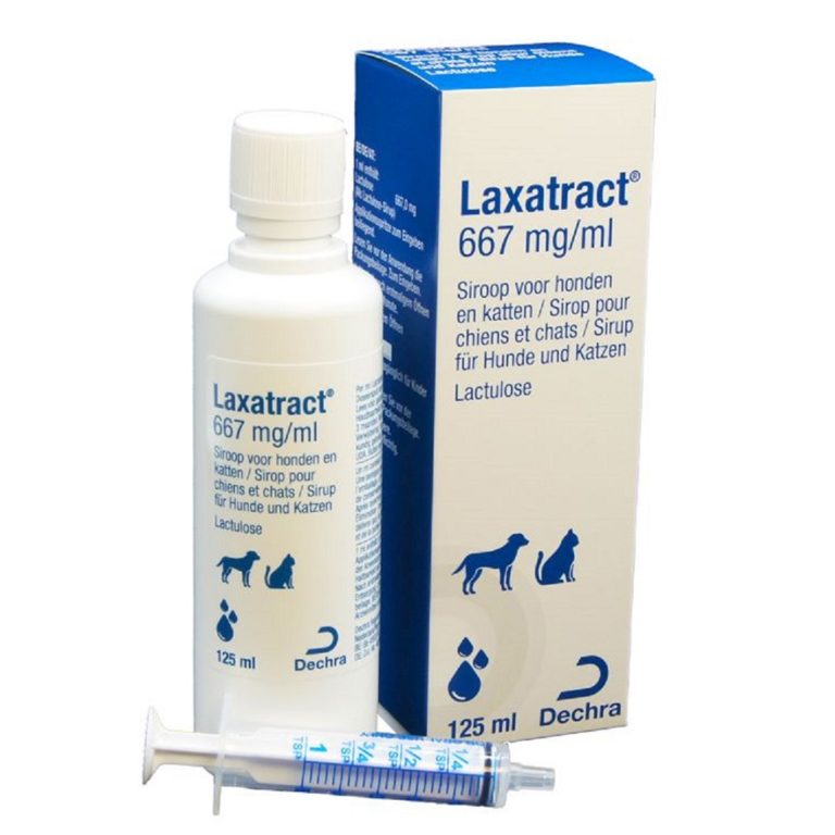 Laxatract 667 mg/ml Sirup, 125 ml - DK Pharma GmbH